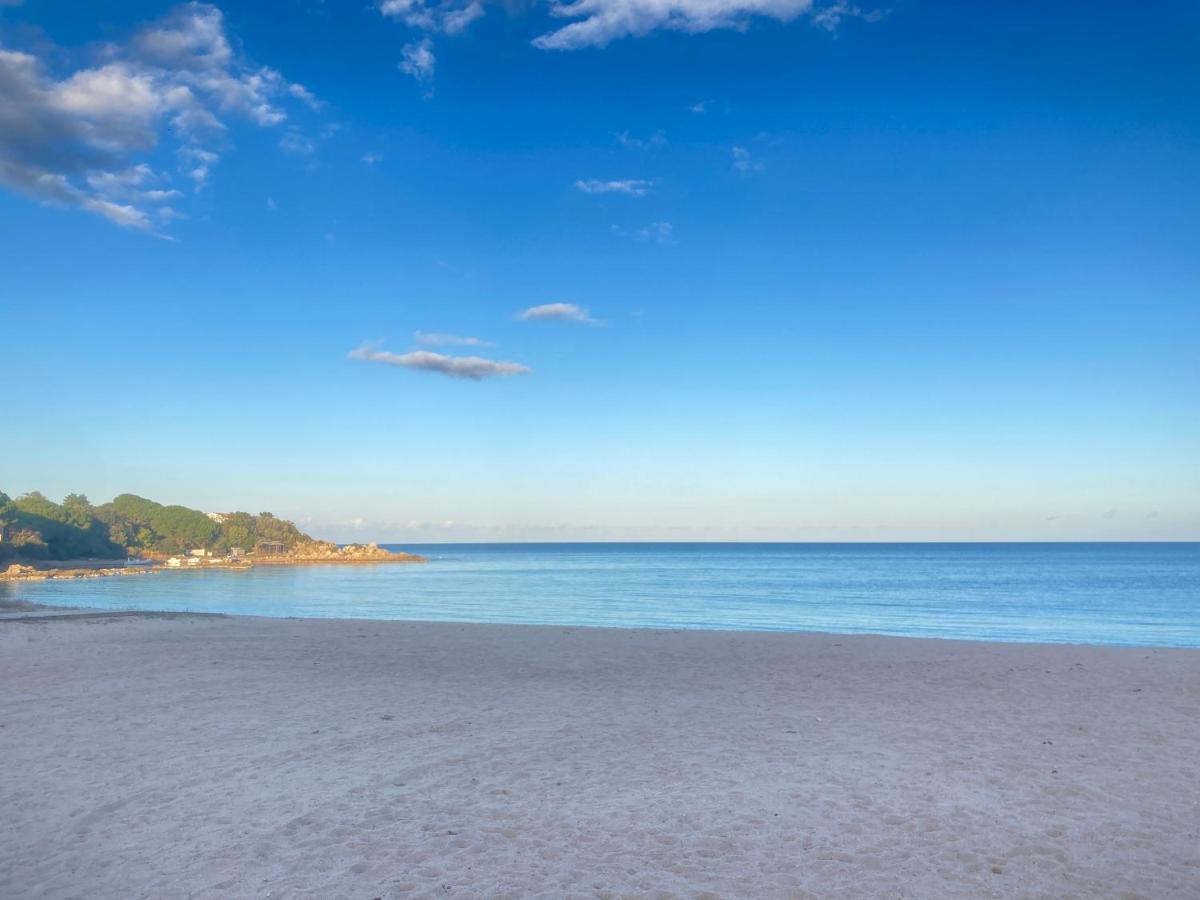 Les Lodges De La Plage U Dragulinu ساري سولينزارا المظهر الخارجي الصورة